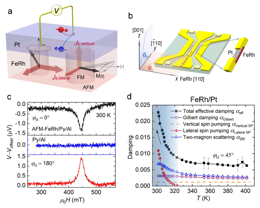 图(a)FeRh/Pt体系的纵向和侧向自旋泵浦效应示意图;(b)共面波导和自旋泵浦效应的测试示意图;(c)FeRh/Py体系的逆自旋霍尔电压,自旋流从Py注入到反铁磁FeRh;(d)FeRh反铁磁-铁磁相变过程中的阻尼因子解析。